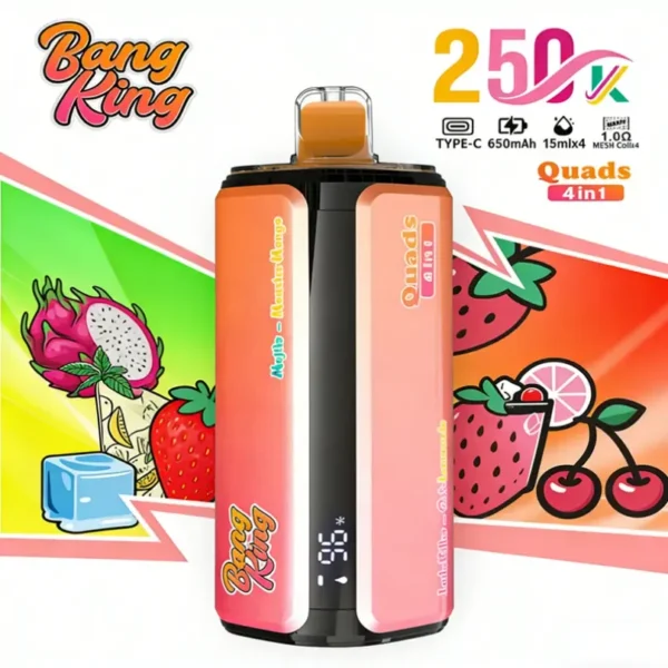 bang king 250k puffs 4 in 1 vape flavor