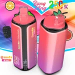 bang king 250k puffs 4 in 1 vape puffs Salt Nicotine bulk order vape device mesh coil