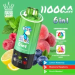 bang leader 110k puffs 110000 6 in 1 disposable vape exclusive puffs wholesale mesh coil