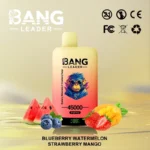 bang leader 45000 puffs 45k 2 in 1 bulk order mesh coil smooth hit