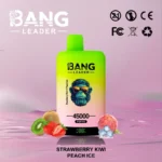 bang leader 45000 puffs 45k 2 in 1 china rechargeable puff mesh coil
