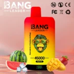 bang leader 45000 puffs 45k 2 in 1 disposable vape e cigarette pod system mesh coil