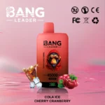 bang leader 45000 puffs 45k 2 in 1 mesh coil bulk order airflow