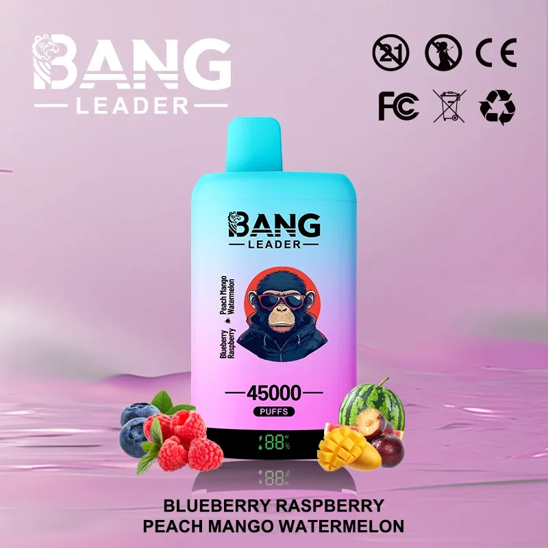 bang leader 45000 puffs 45k 2 in 1 puff disposable vape