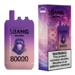 bang leader 80000 3 in 1 puff 80k battery china smooth hit