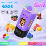 bang de 300k puffs 5 in 1 rechargeable disposable vape mesh coil disposable vape rechargeable china