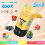 bang de 300k puffs 5 in 1 rechargeable disposable vape nicotine battery pod system vape pen smooth hit