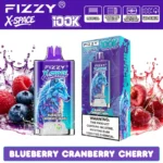 fizzy 100k 10000 x space e cigarette flavor battery rechargeable
