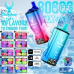 Stagbar 80000 Puffs Disposable